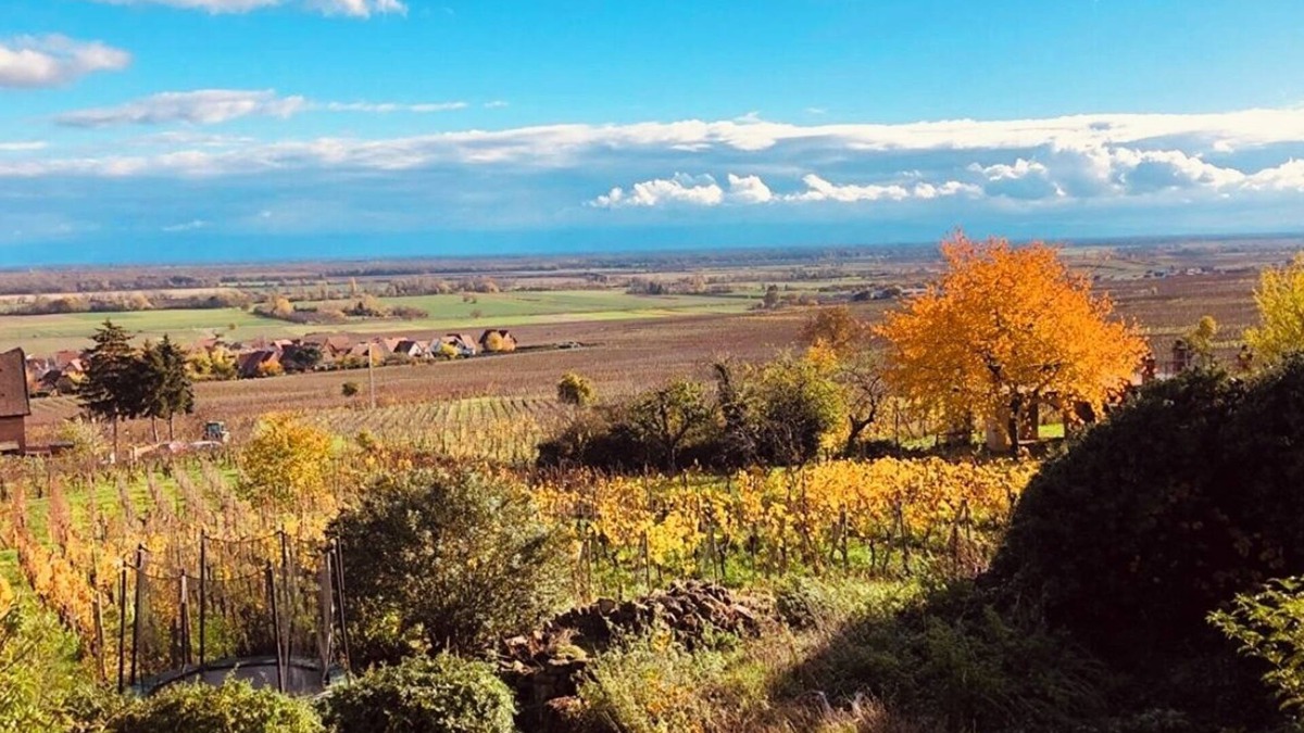 Gueberschwihr Apartment | Gîte Origin route des vins d'Alsace