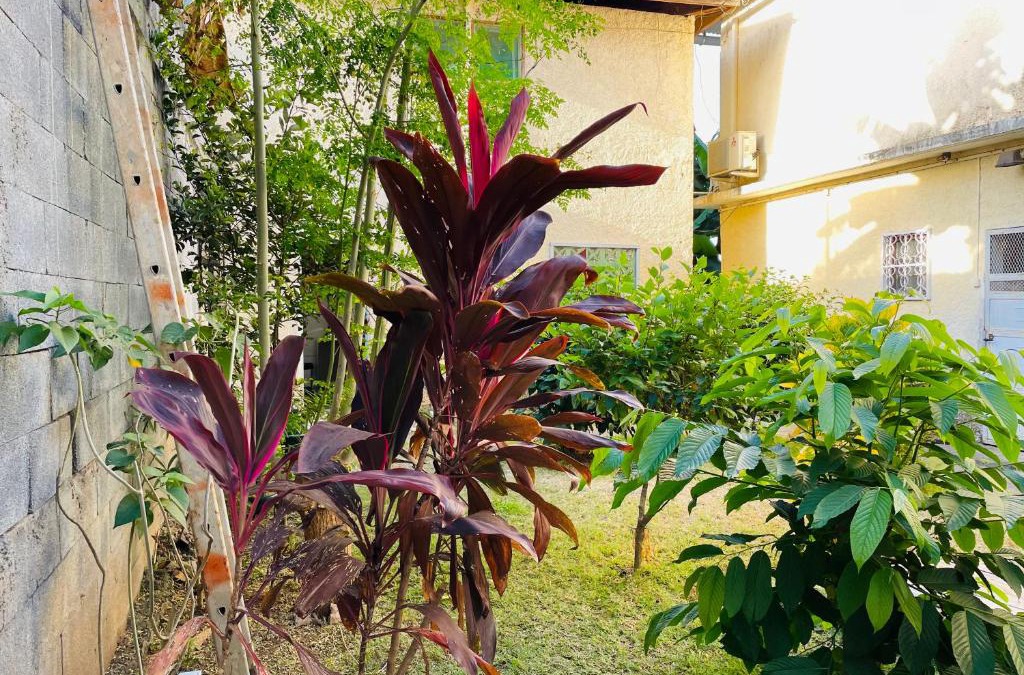 Mamoudzou House | Gîte Rose Doudou