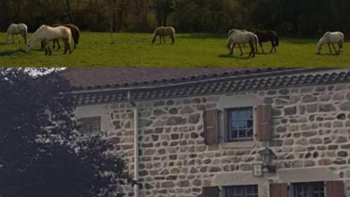 Sugeres House | Gîte Rustique et Confortable, en Plein Cœur du Livradois Forez