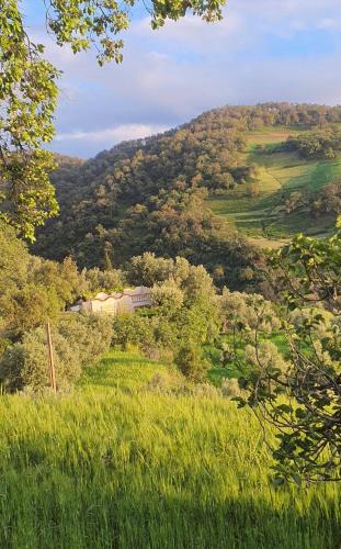 Bouchfaa House | Gîte sanhaji tazekka