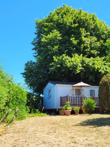Saint-Florent-le-Vieil Apartment | Gîte Sous le Tilleul