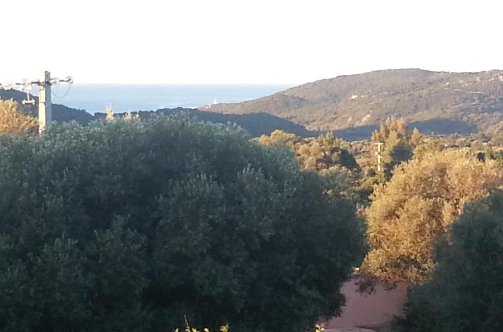 Monacia-d'Aullene Apartment | Gîte Tomasini