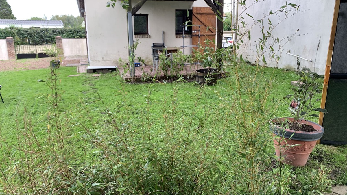 Dompierre-sur-Authie House | Gîtes Levidence