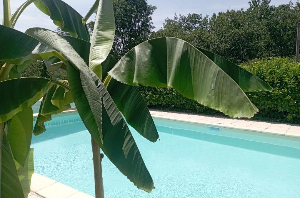 Salviac House | Gîtes NATURISTES Périgord Rocamadour Sarlat naturiste de mi mai à septembre