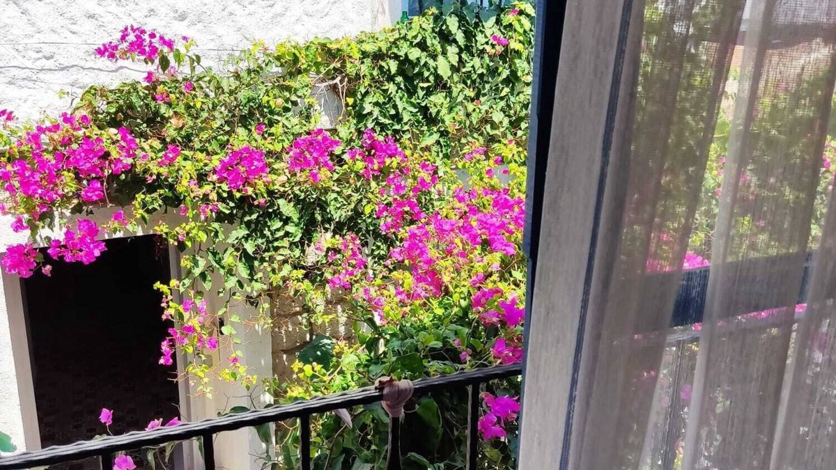 Alacati Hotel | Gül Hanım Konağı