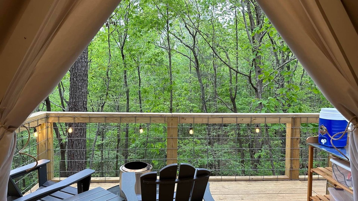 Talladega Cabin | G-6 Glamp in Bohamia - 268 acre forest retreat