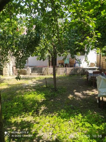 Gabala Apartment | Gabala,yard, house