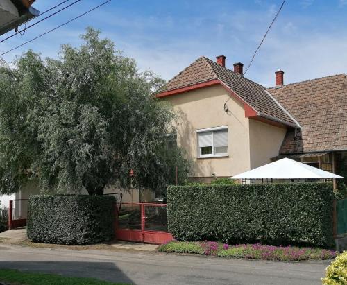Szolad House | Gabriella Ház