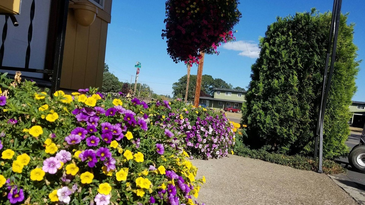Corvallis Hotel | Galaxie Motel