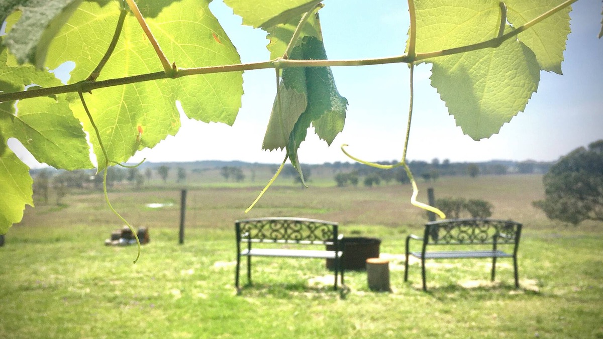Mp Creek Other | Galbraith Farmhouse - South Burnett. Stunning views, fire pit & star gazing.