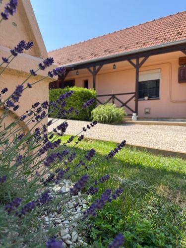 Jeno Apartment | GaLiBa Vendégház