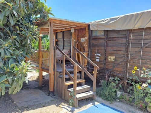 Tabash Cabin | Galilee Bedouin Camplodge