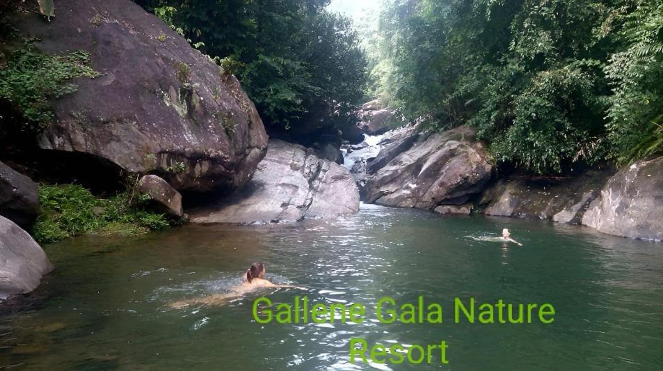 Kithulgala Resort | Gallene Gala Nature Resort
