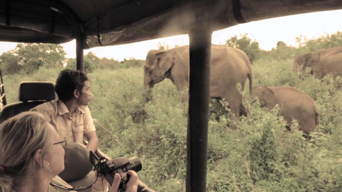 Udawalawa RV Rental | Gamping in Style bordering Udawalawe National park