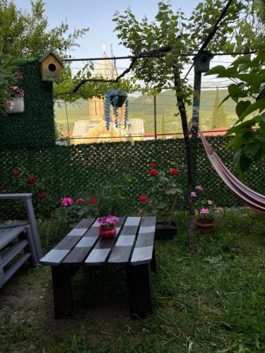 Mtskheta House | garden and panorama