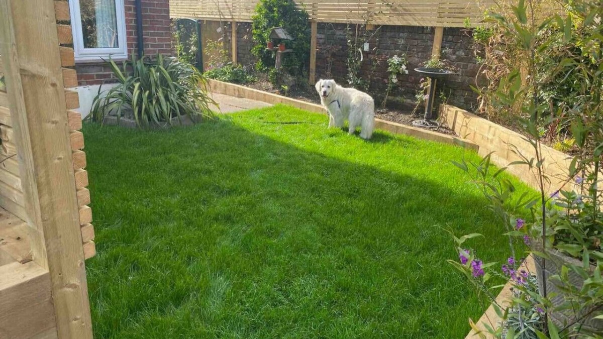 Southsea Apartment | Garden apt - Beach at end of Road Private Parking