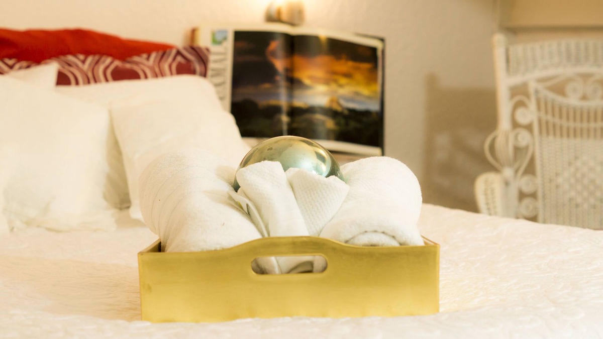 Campestre Apartment | GARDEN HOUSE, WELCOME TO SAN ANGEL NEIGHBOURHOOD