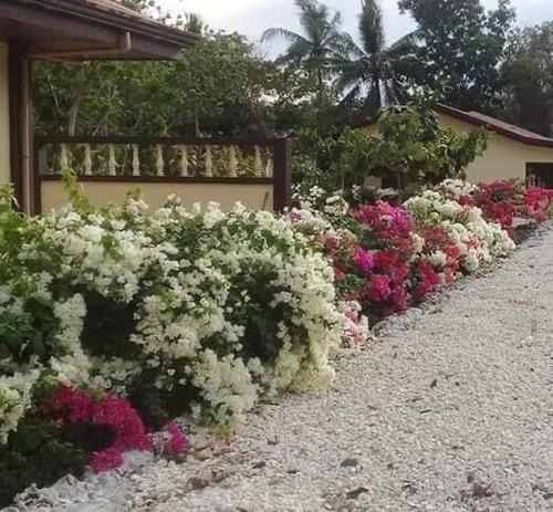 Santander House | Garden INN