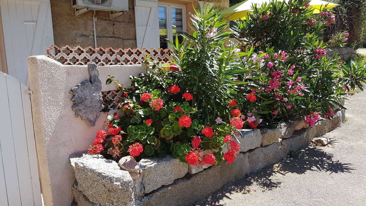 Monacia-d'Aullene House | Garden level in typical Corsican house Monacia d'Aullène
