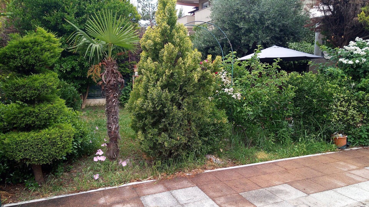 Perea House | GARDEN MEZONETTE WITH POOL FOR SUMMER ESCAPES