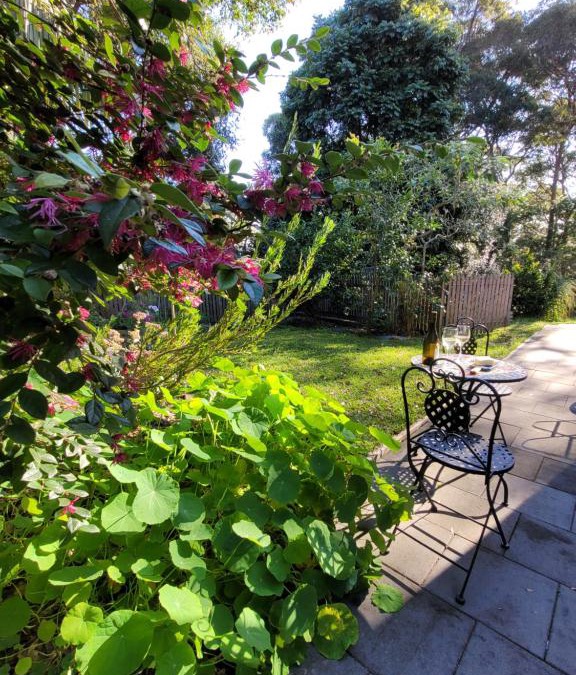 New Lambton Heights Apartment | Garden Rest