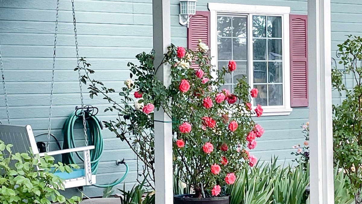 Valley Springs Bed & Breakfast | Garden Room at Bed & Breakfast
