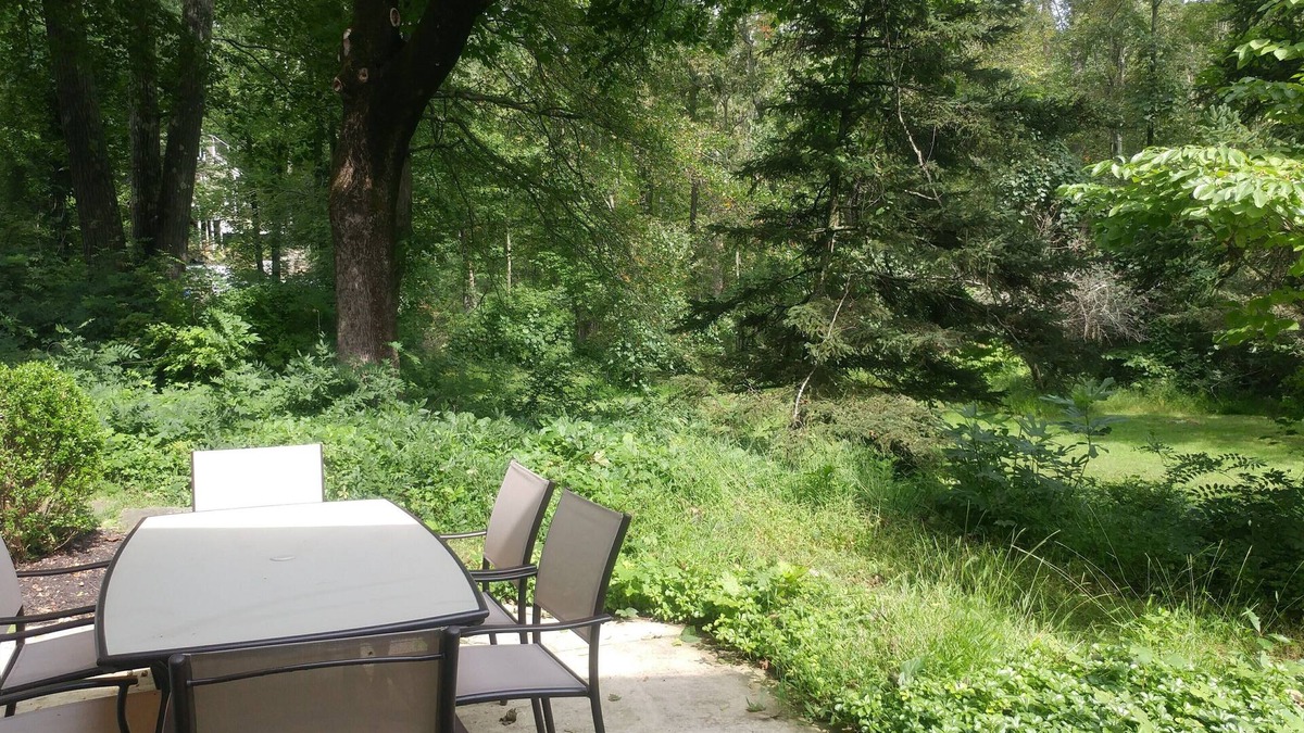 Town of North Castle Apartment | Garden Studio with Private Full Bath & Sauna. Self check-in.