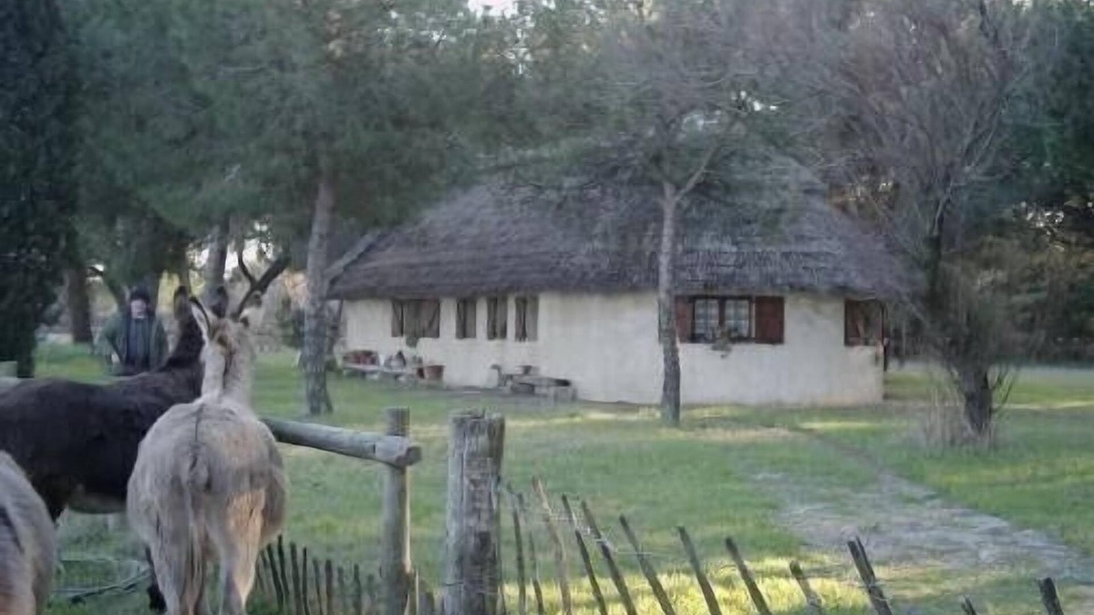Saint-Laurent-d'Aigouze House | Gardian Aigues Mortes cabin-style house rental