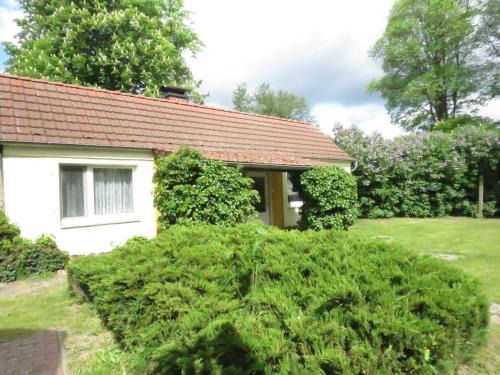 Warenthin House | Gartenhaus