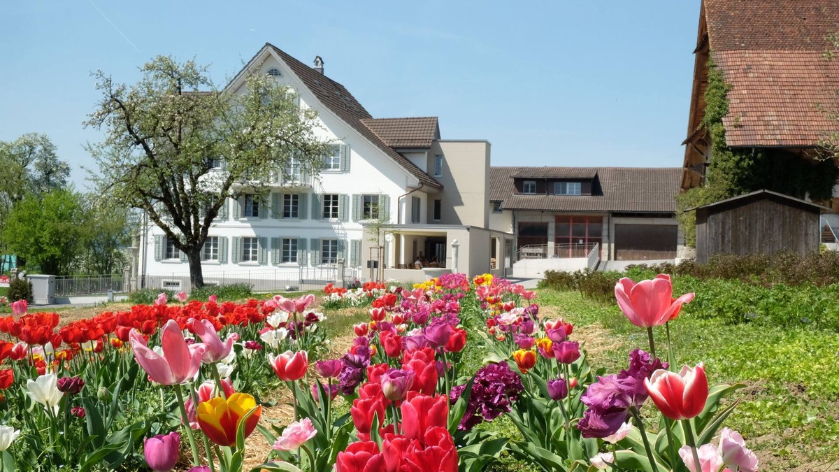 Oberlunkhofen House | Gasthaus zum Bauernhof