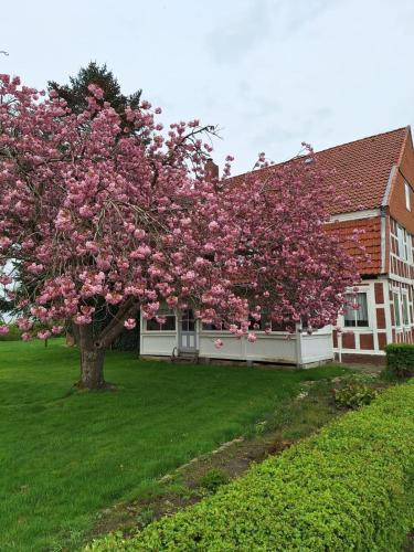 Cuxhaven House | Gasthaus zur Grenze
