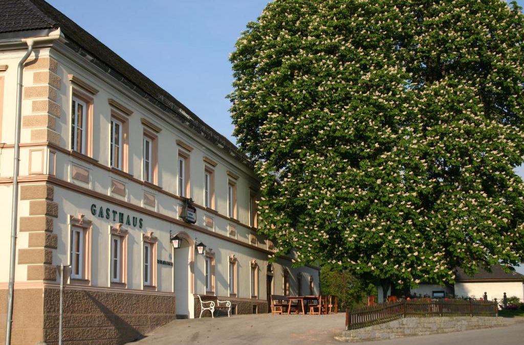 Wallsee Hotel | Gasthof Hehenberger