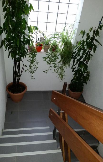 Bissingen an der Teck Hotel | Gasthof Rössle Ochsenwang