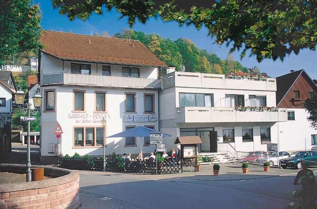 Heigenbruecken Hotel | Gasthof und Pension Zur Frischen Quelle