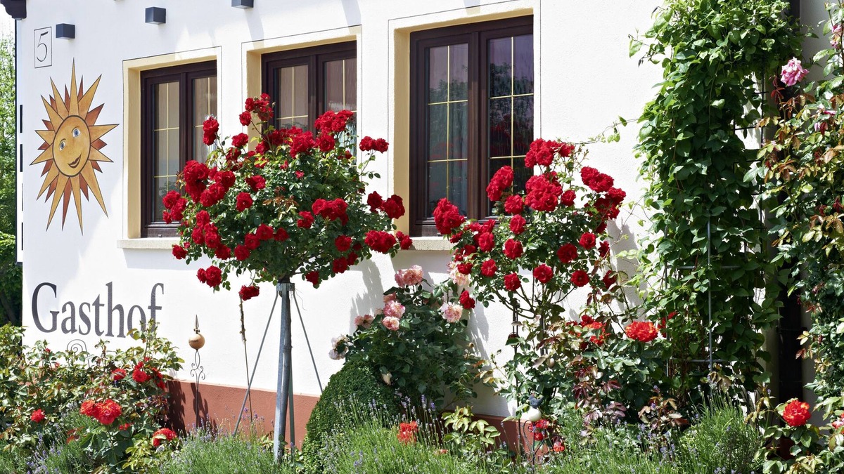 Rofingen Hotel | Gasthof zur Sonne