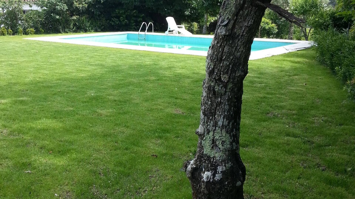 Gatao House | Gatao: Cottage in the begining of Douro very cosy and peaceful