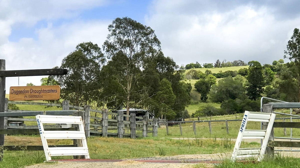 Dugandan Other | Gatekeepers' cabin