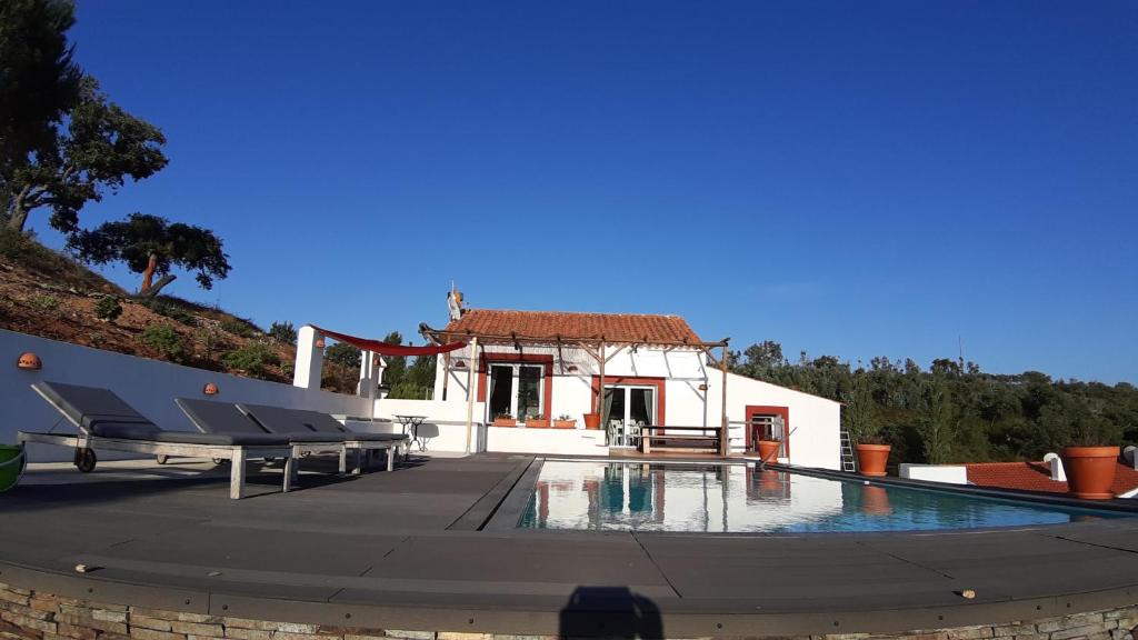 Reliquias House | Gecko Pego Longo