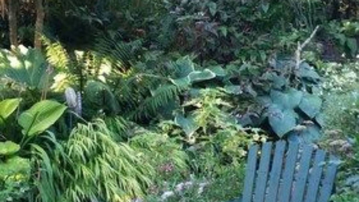 North End Bed & Breakfast | Geiger Victorian B&B