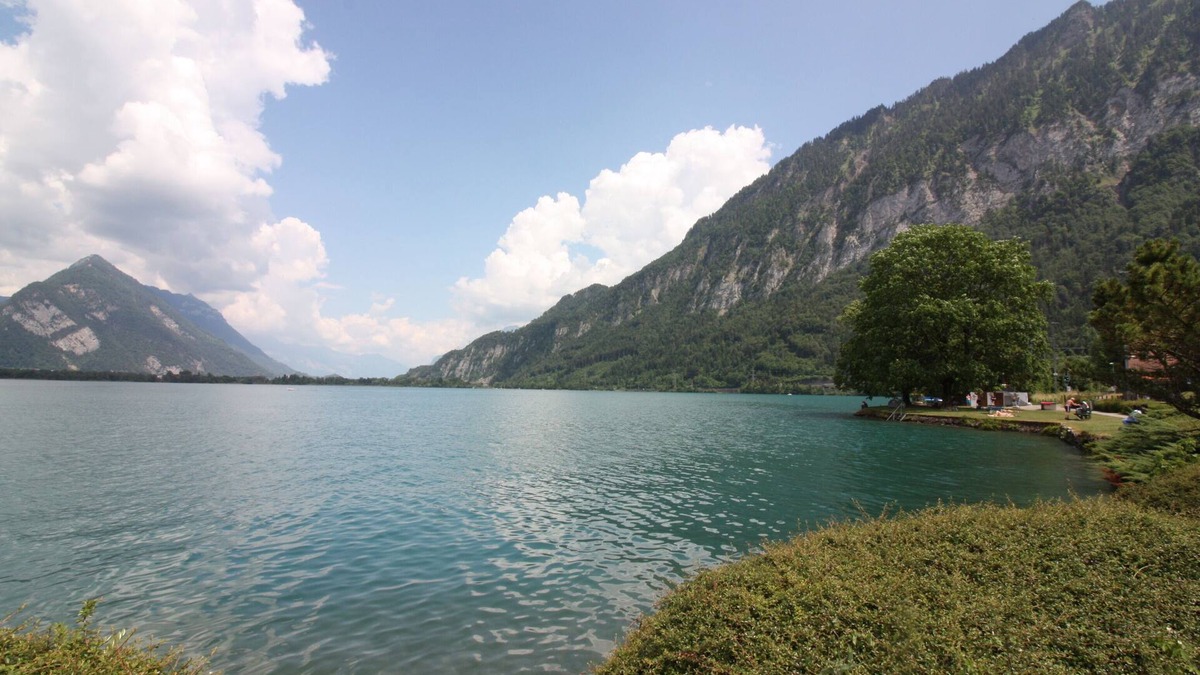 Darligen Apartment | Gemütliche Ferienwohnung 5 Km von Interlaken und 50 Meter vom See Entfernt
