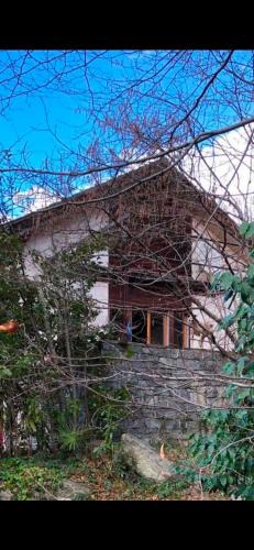 Biasca Apartment | Gemütliche Gartenwohnung im Tessin