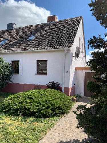 Oranienbaum House | Gemütliches Ferienhaus mit Garten