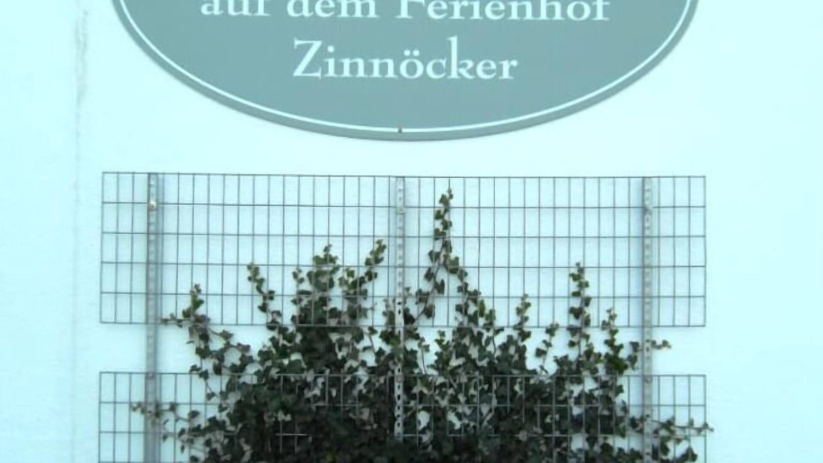 Breitenberg Apartment | Gemütliches Feriendomizil mit Terrasse
