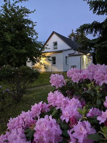 Spremberg Apartment | gemütliches Ferienhaus