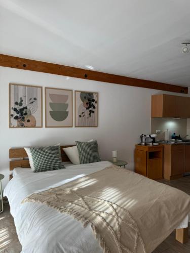 Heitersheim Apartment | Gemütliches Studio mit Balkon