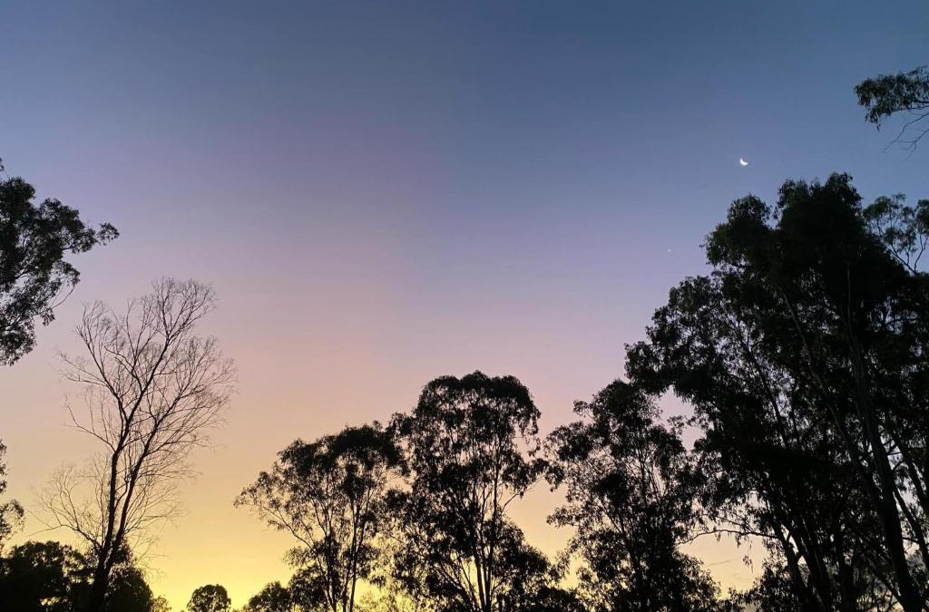 Tamborine House | Gemmas Animal Farm by Tiny Away