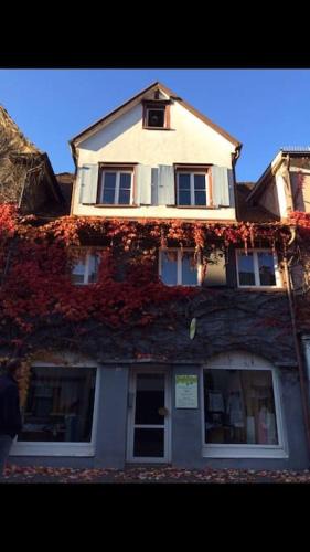Leutkirch im Allgau Apartment | Geschmackvolles Dachstudio in der Innenstadt