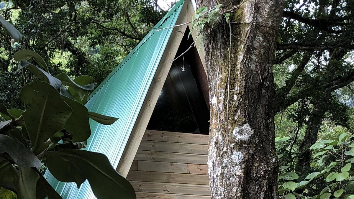 San Gerardo de Dota Apartment | Get away to The Sanctuary in the cloud forest of San Gerardo de Dota