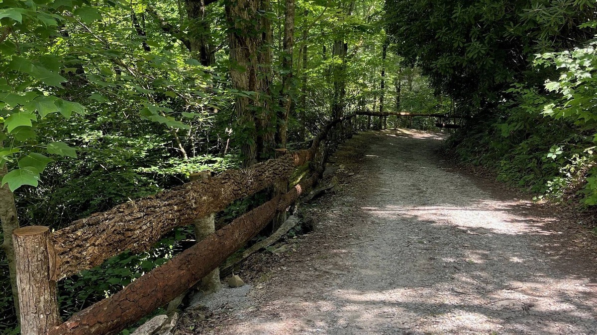 Topton Cabin | Get in on June Special price at Cabin Fever ! Near Lake Nantahala Wedding Venue