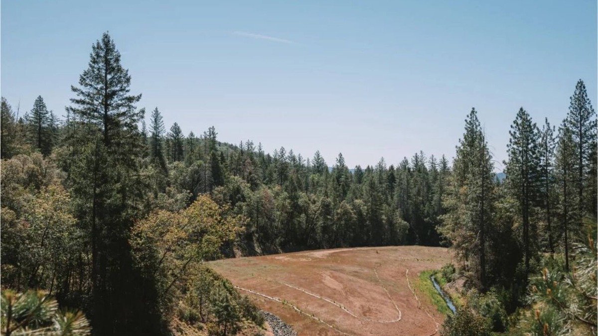 Cedar Ridge Cottage | Get lost and find yourself